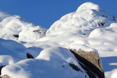 snowy1